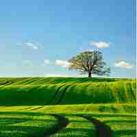 数​据﻿分﻿析‍专‌用​软‍件‍是‌什‍么‍